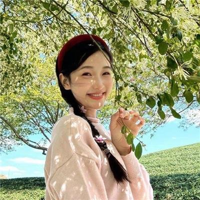 奇谋妙计多仔公